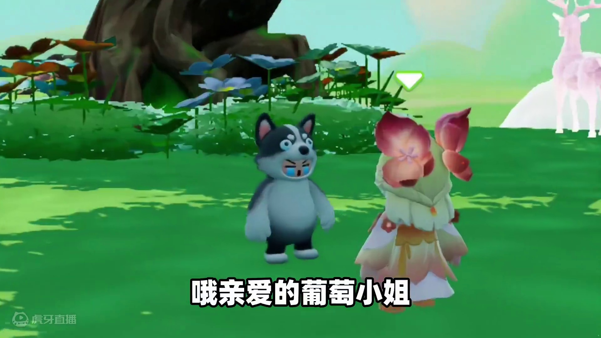 元梦之星：葡萄害西瓜晕倒！难道我真的做错了吗？