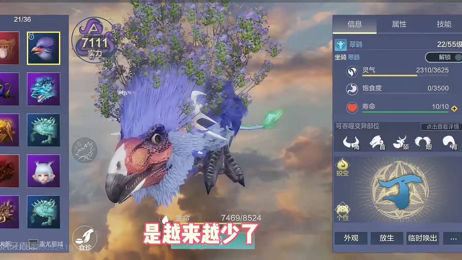 拥有超大花草特效的宠物，久违的带花草的宠物啊，太稀少了 #妄想山海 #游戏日常