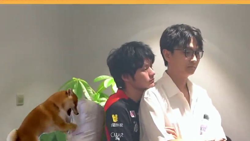 好好好！都好得很#ag超玩會 #ag超玩會cat #職業(yè)選手 #搞笑