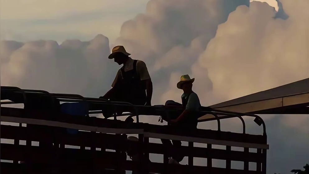 我发布了一个新视频，快来围观吧！