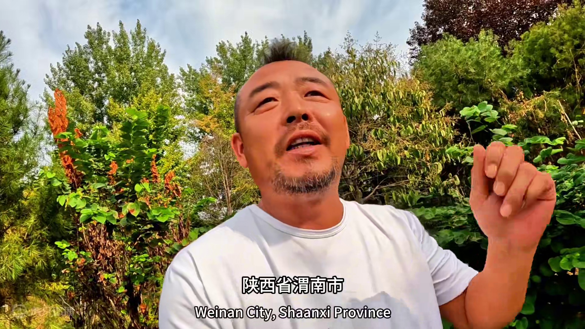 沙和尚进入陕西省，韩城服务区吃高配牛肉面，喝陕西酒#户外美食 #户外生活