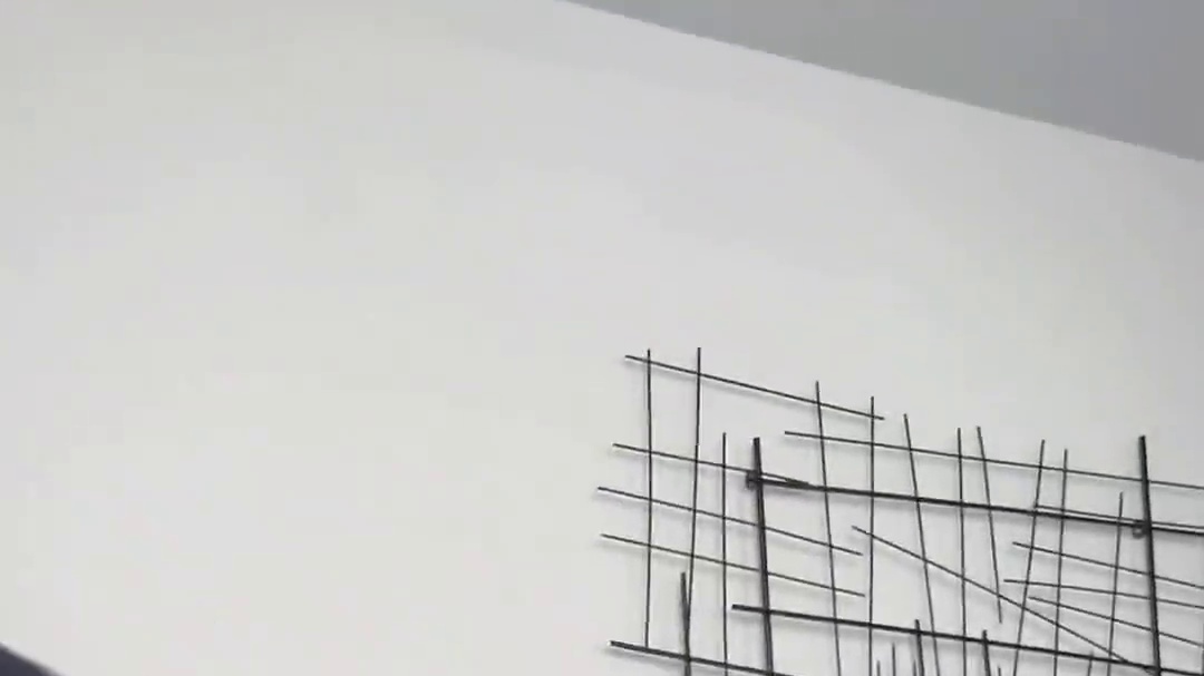 红毛怪给主人准备的惊喜，结局让人太意外了！ #看一遍笑一遍 #意想不到的结局 #这操作都看傻了 #万