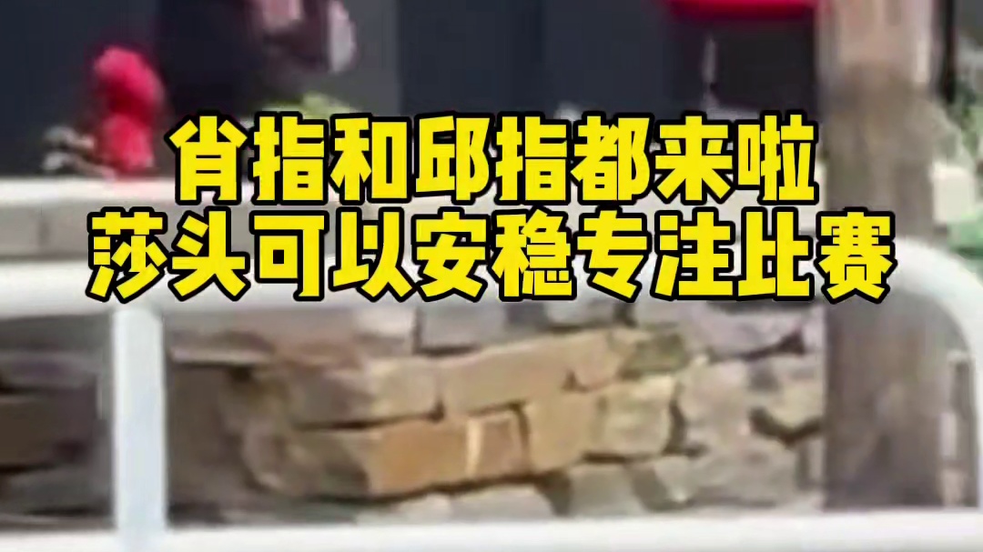 肖指和邱指都来啦，莎头可以安稳专注比赛