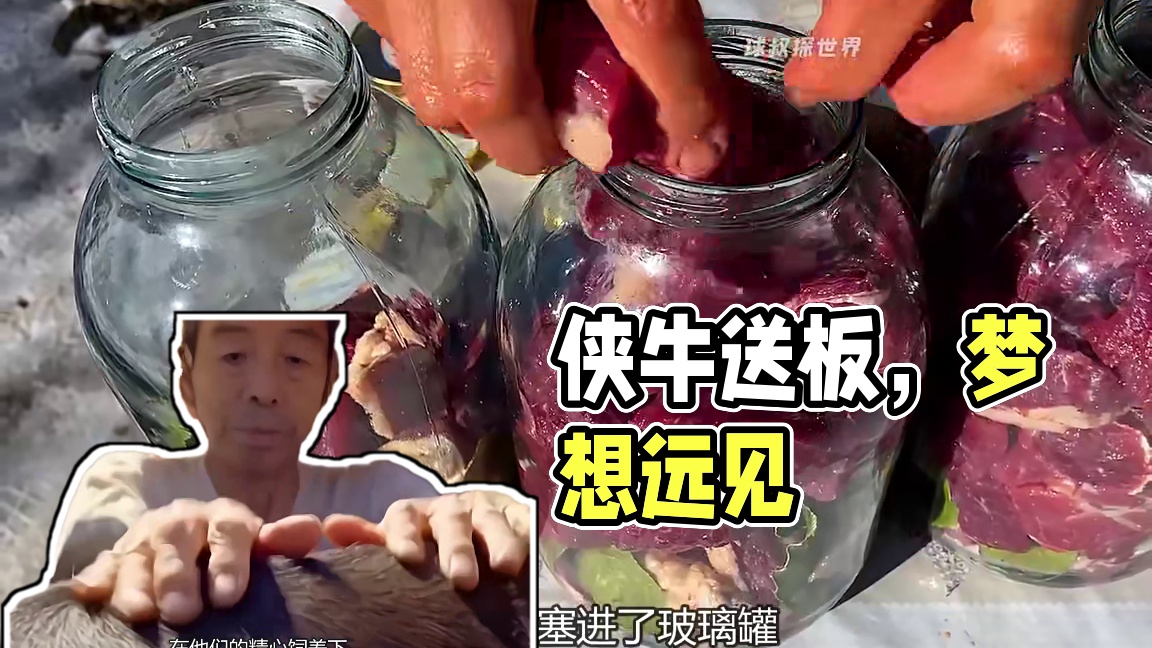 才这价就能到手这么大一袋麻辣牛肉，大家赶紧薅！ #麻辣牛肉 #牛肉干