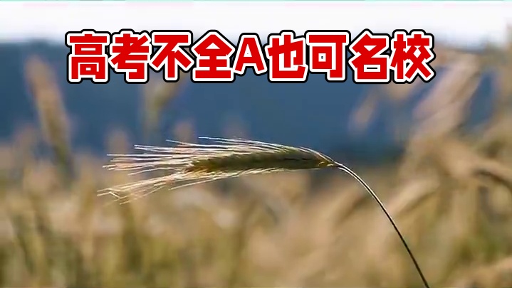 会考成绩不是A影响高考吗？ #焦作高考 #焦作新高考 #高考志愿填报 #高三 #高中