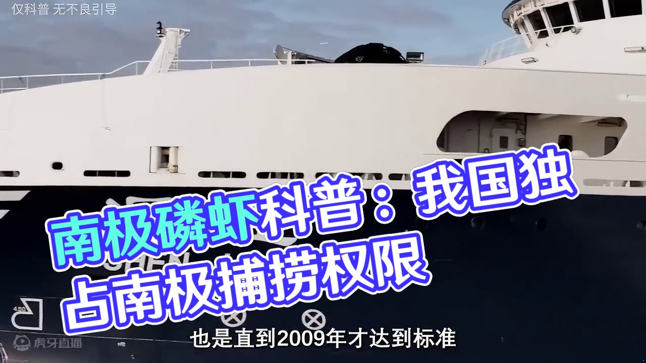 你有吃过南极磷虾吗？#科普 #南极磷虾 #磷虾