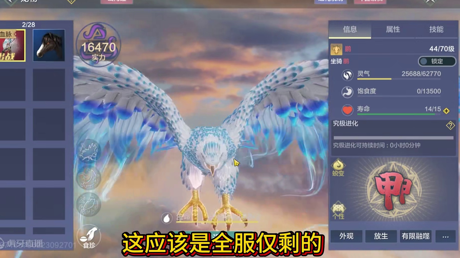 啊？？没看错吧 鲲鹏！这应该是全服仅剩的一只#妄想山海 #鲲鹏 #鲲鲲进化 #游戏解说 #手游