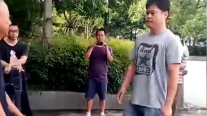 传武大师街头卖弄拳法，结果碰上直率小伙不配合，脸都被打肿了！ #格斗 #功夫 #武术