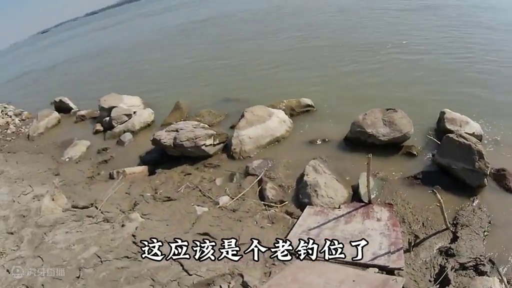 你们要的闷竿钓法详细解析来了！趁秋天温度还不低大鱼还可以来个今年最后的疯狂。
#钓鱼 #闷竿钓法 #