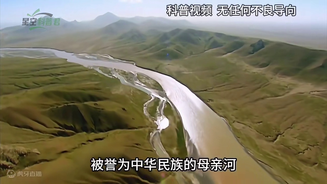 淡水鱼在海里无法存活，黄河每天将鱼冲入大海，这些鱼都死了吗？