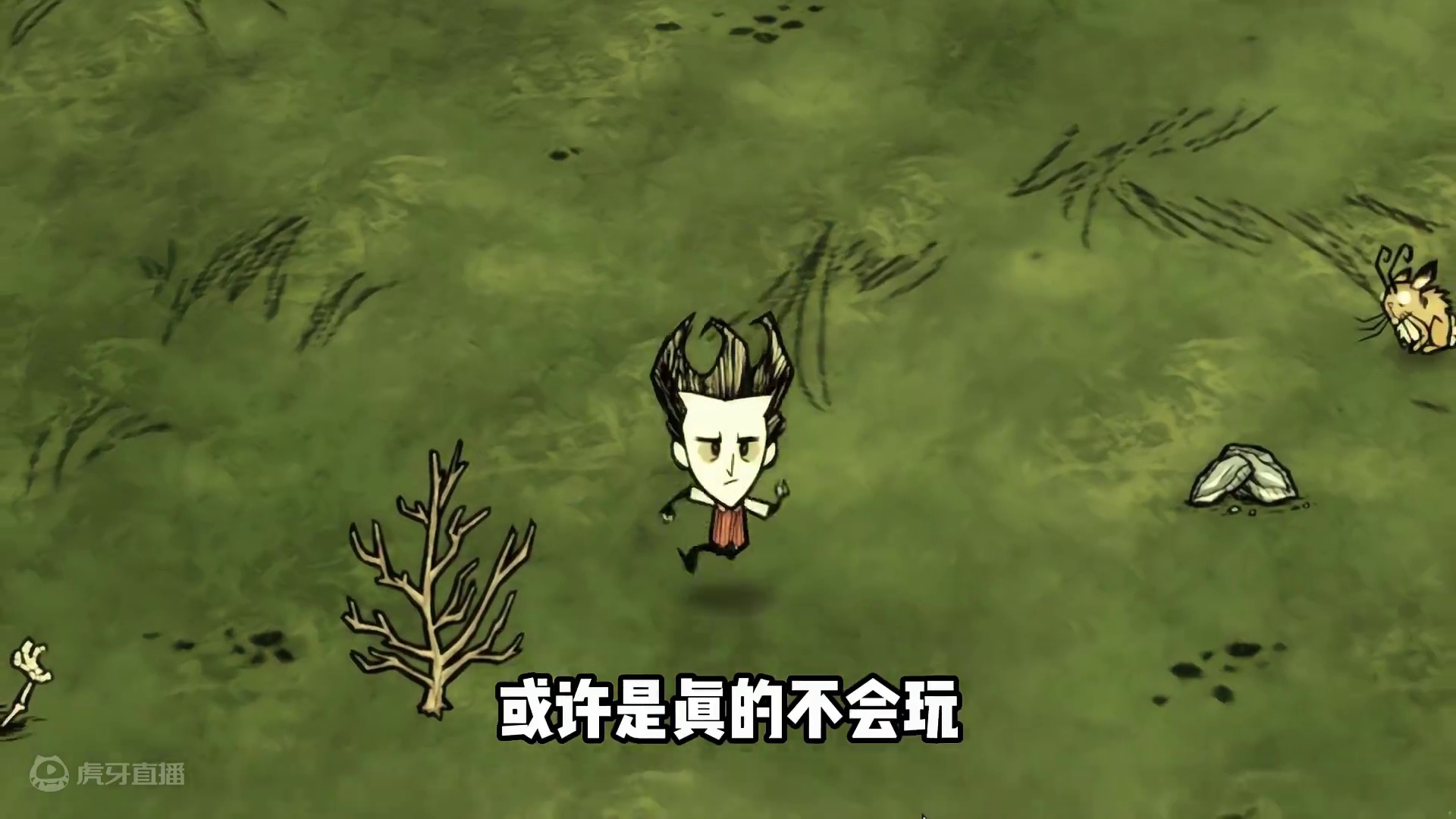 饥荒新手教程第一期：创建世界，收集资源，不作不浪轻松活过一年 #饥荒 #饥荒 #饥荒新手教程 有点一