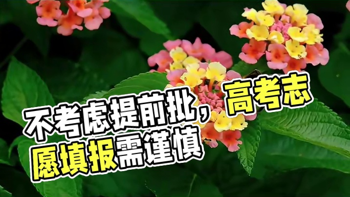 不考虑提前批招生，是不是就不需要看了？#高考志愿填报 #高考 #新高考 #高三 #焦作