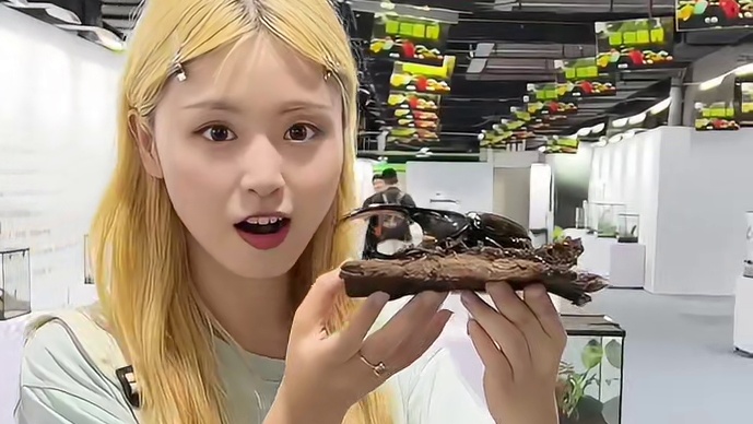 福州居然也有活体昆虫博物馆啦！#活体昆虫博物馆 #亲子游玩好去处 #异宠 #福州吃喝玩乐