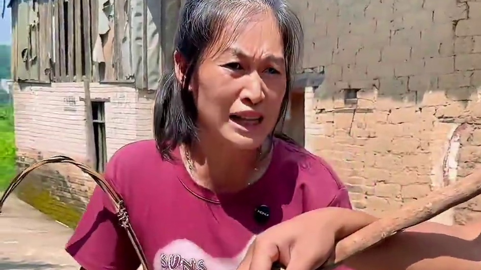 山村小厨神上线   自制香辣牛肺 每一口都香辣诱人  #农村美食 #农村生活 #好吃到停不下来 #我