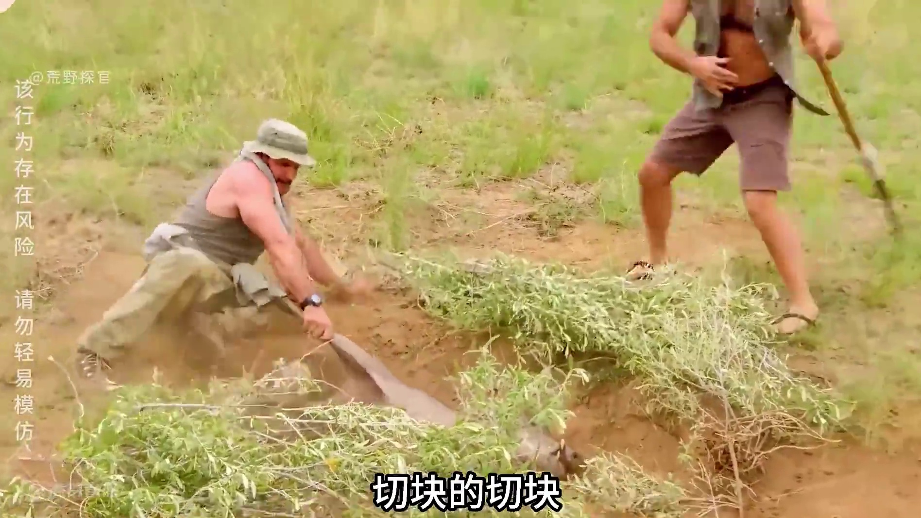 求生一加一  马特和乔 别人打野都是三天饿九顿，这两个莽夫捕获一只巨大蛋白质，切块的切块，碳烤的碳烤