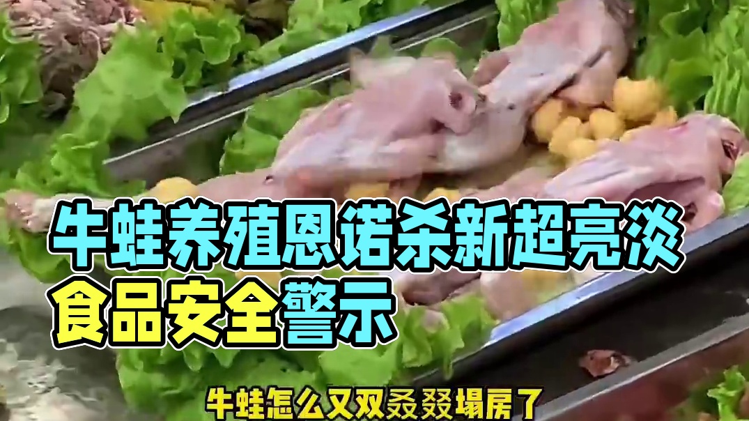 我亲爱的蛙蛙，这下真的要跟你说再见了 #牛蛙 #牛蛙养殖 #食品安全 #万万没想到 #卫生