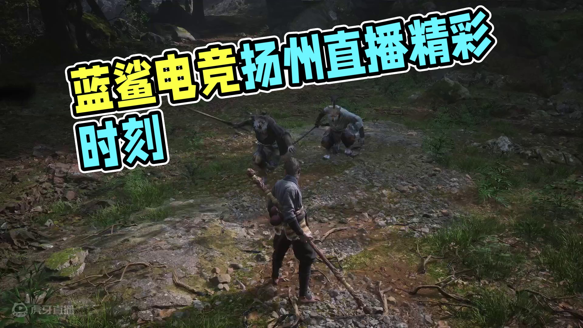 扬州的蓝鲨电竞YYDS