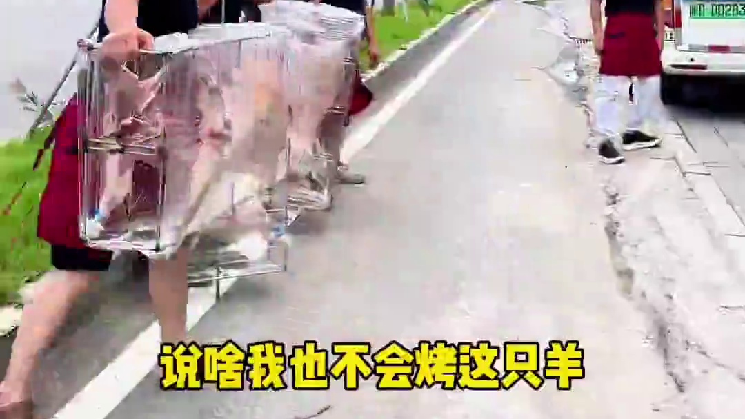 #真材实料才能做出好味道 #烤全羊外酥里嫩 #福州 #上门烤全羊 #团建