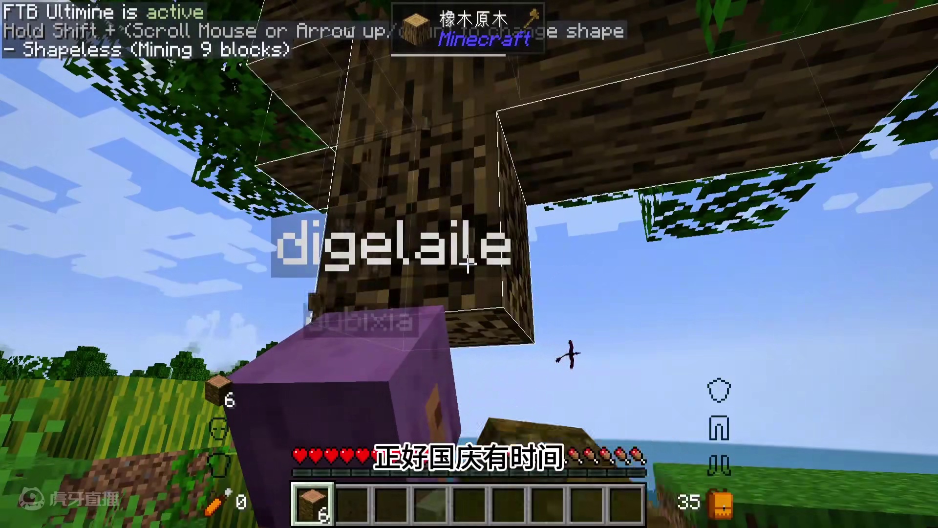 我的世界：带6岁的小迪玩雾中人，是一种什么样的体验？ #我的世界 #MC #迪哥闯世界 #雾中人 #