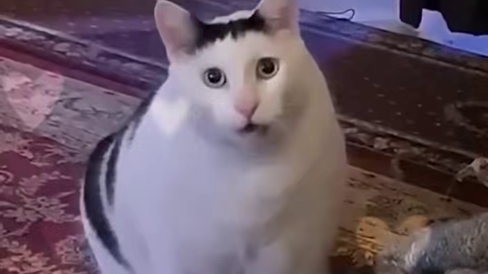 露西太可爱啦 #绝区零 #绝区零创作激励计划  #绝区零露西 #绝区零杂谈