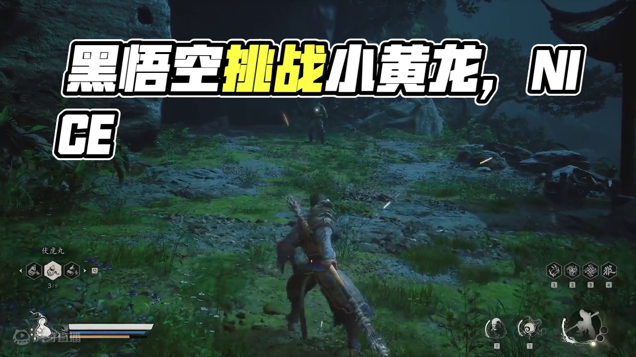 黑悟空：小黄龙好难打啊！