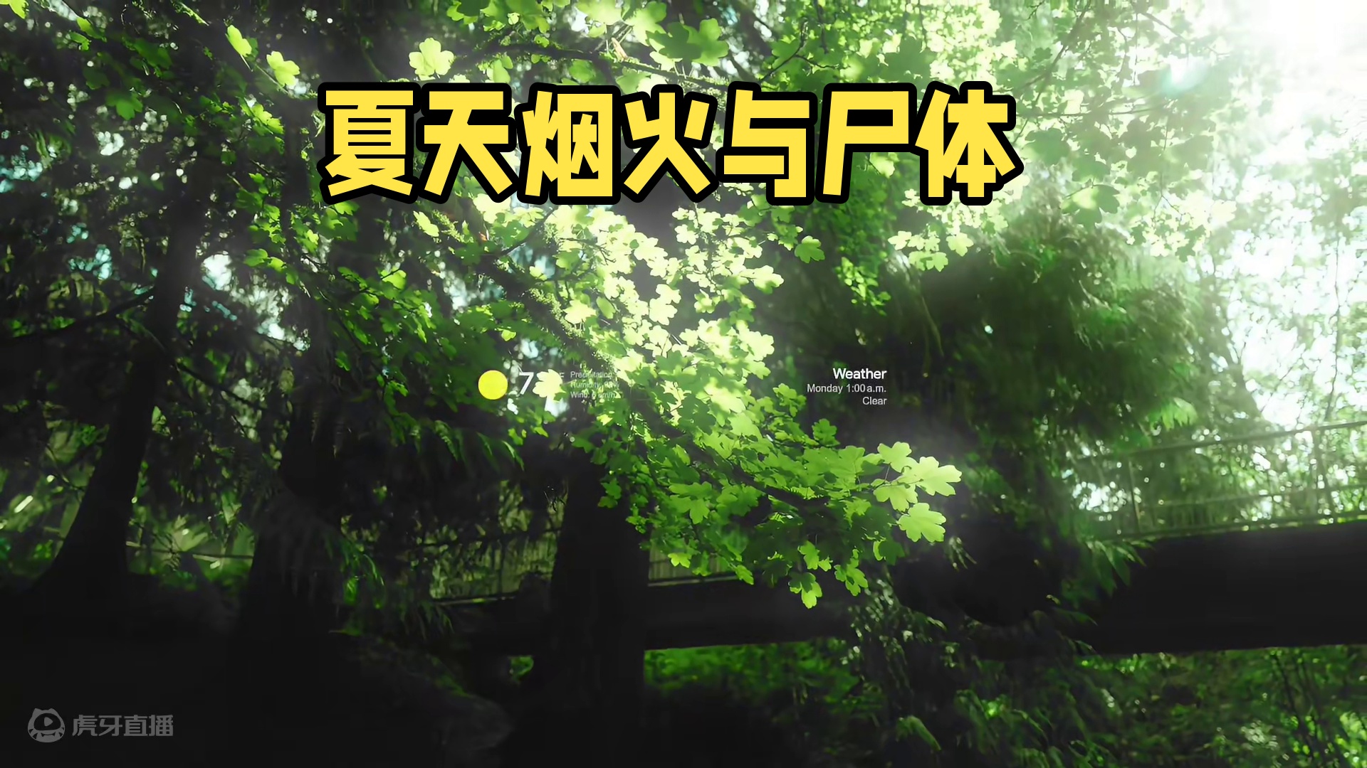 “夏天 烟火 和 我的尸体”