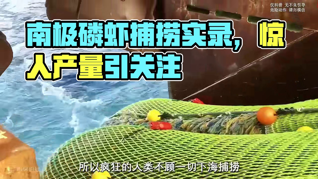 老外无论如何也想不到，我们竟然已经实现了磷虾自由#磷虾 #南极磷虾 #捕捞过程 #虾肉 #虾皮