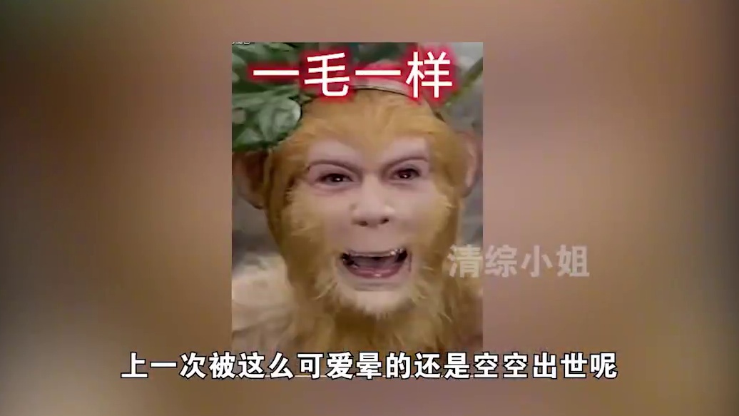 考古的风终究吹向了孙颖莎，原来莎局气质一脉传承自她的老竹马们 #孙颖莎 #国乒队