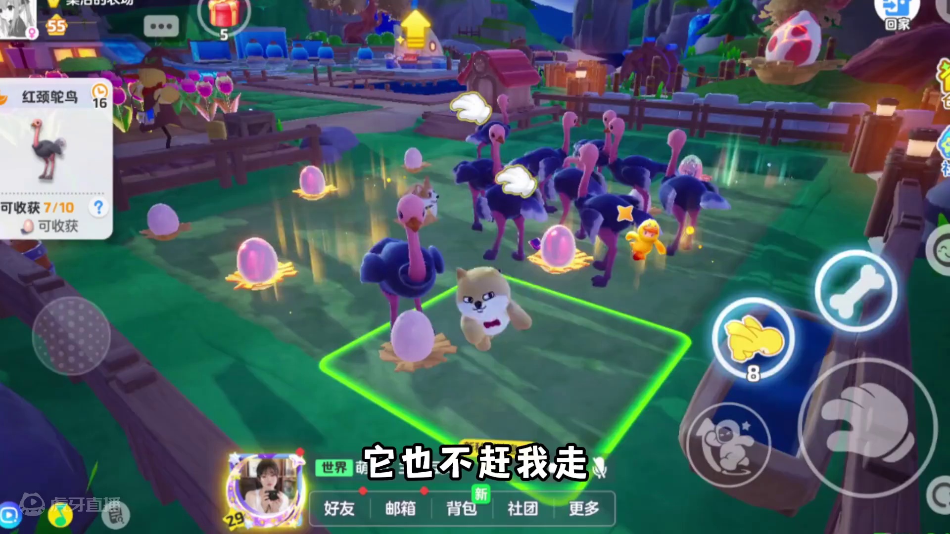 小柯基也太可爱了吧！好想rua！！ 