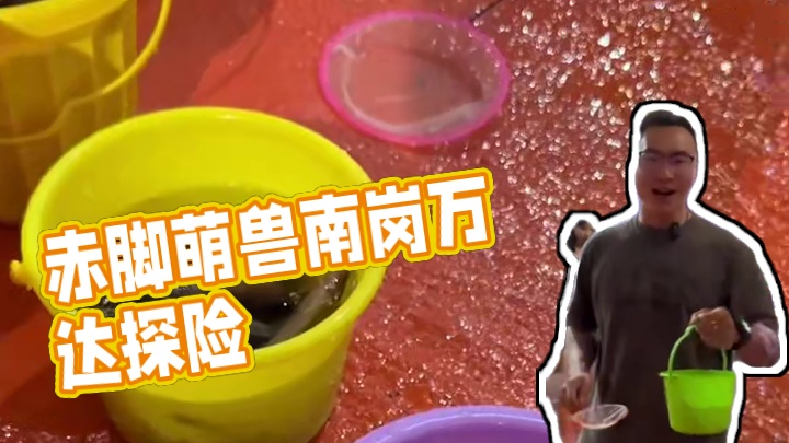 哇噻，赤脚萌兽开到南岗万达3楼啦，可以赶海寻宝粮仓萌宠观赏!!太好玩了#国庆吃喝玩乐节#广东国庆假期