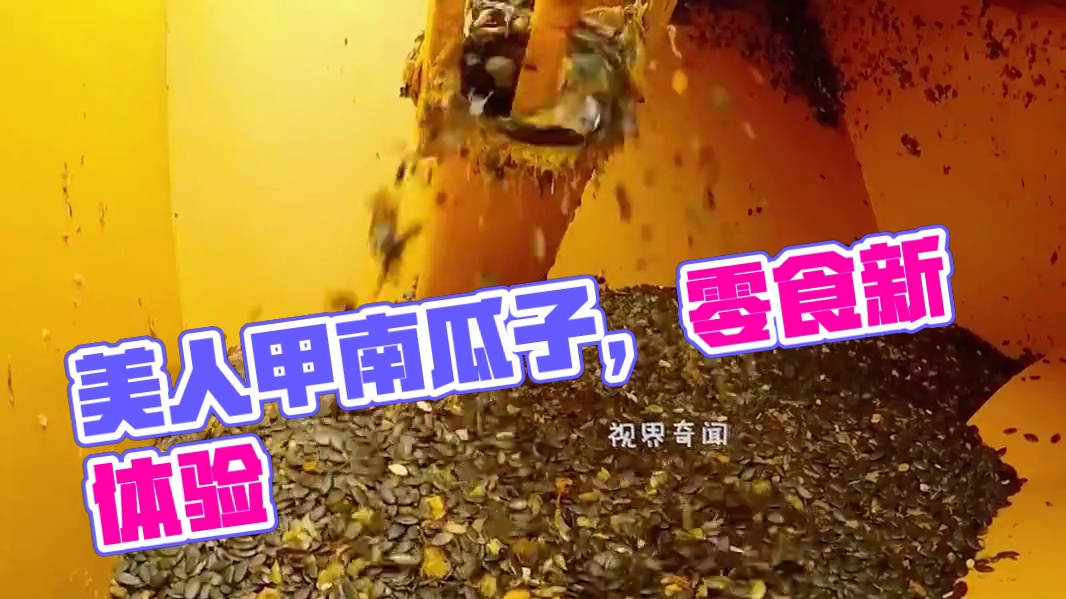 你吃过美人甲南瓜子吗？简直是聊八卦追剧看电影的好搭子啊！#椒盐南瓜子 #南瓜子 #零食