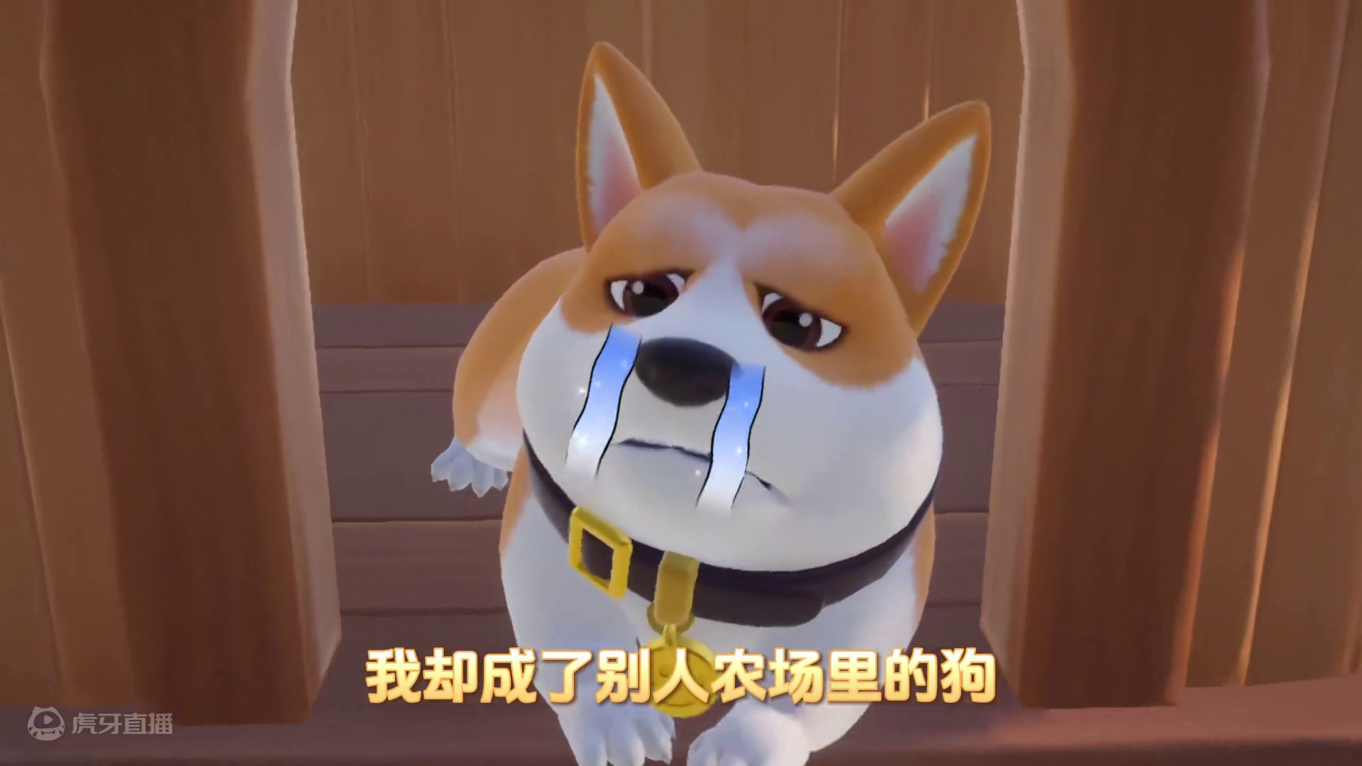 省流版：主人转身就走，根本不记得喂狗#元梦之星 #农场柯基 #重生文 #爽文