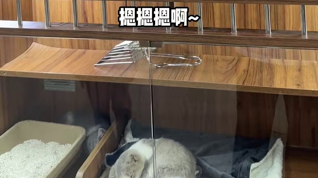 我发布了一个新视频，快来围观吧！