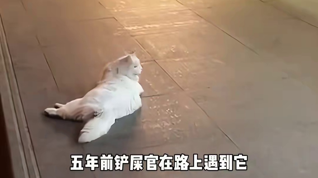 路遇：就是你们背后说我是“全网十大恶猫”之首