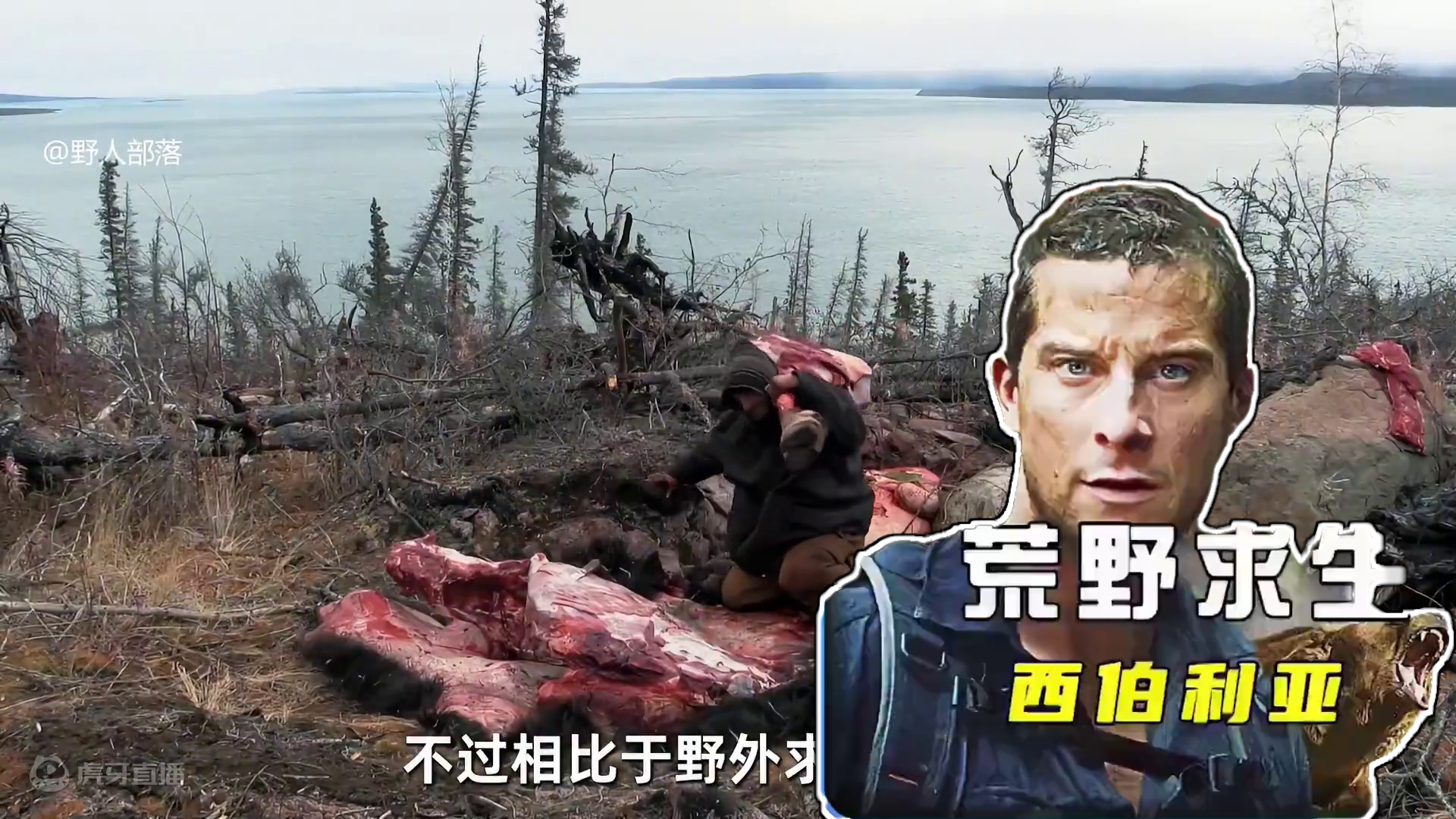 贝爷挑战西伯利亚极寒之地，抓头一百斤老牦牛彻底实现蛋白质自由 #荒野求生 #野外生存 #户外 #无尽