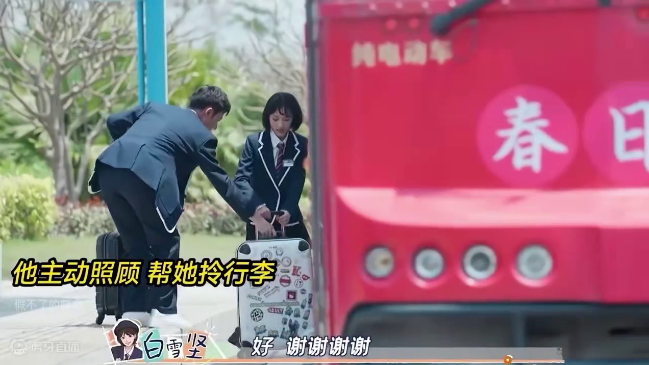 恋综小白花被狂追求！结局绝了