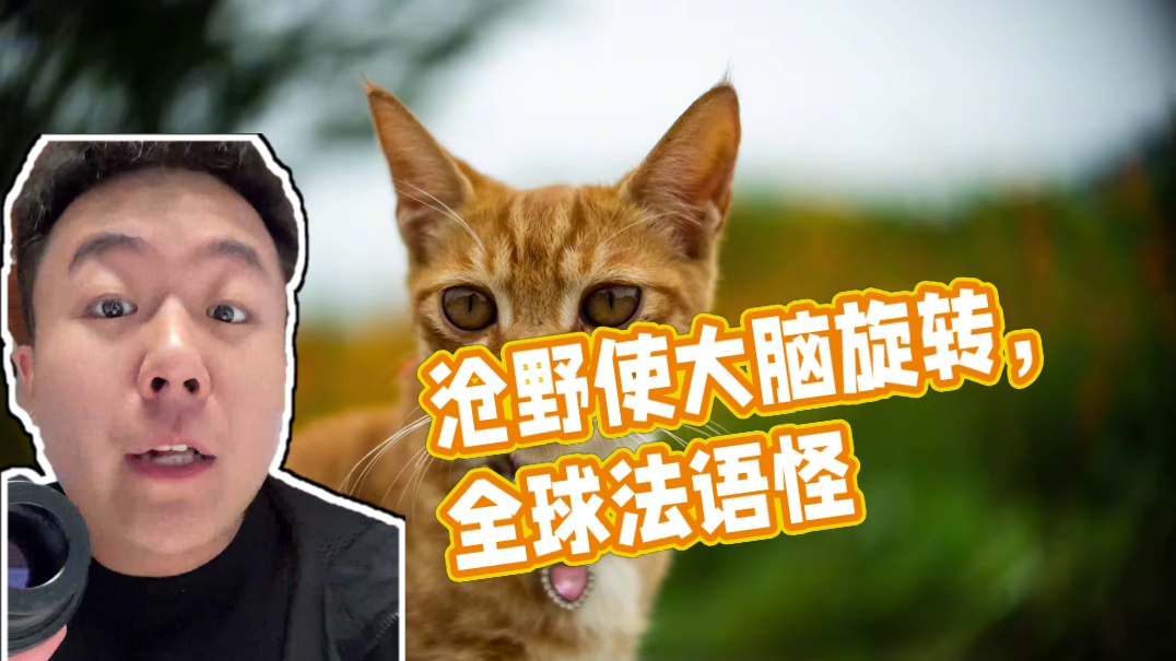 沧野，使你的大脑旋转！ #沧野影像 #摄影