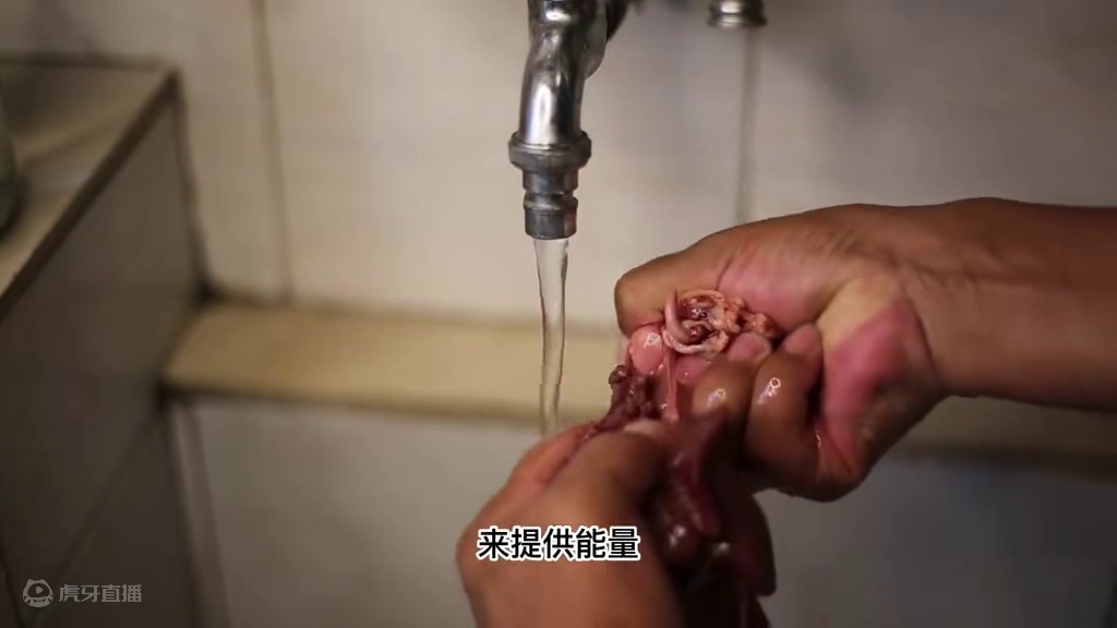 加她能让你的鱼饵效果翻倍，渔获翻倍！ #爆护饵料 #鱼饵制作 #秘制饵料 #鱼饵 #窝料制作