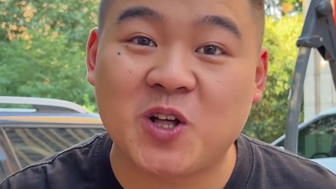 最新拿下六只非常甜美的金加白~#壮实说猫 #金加白