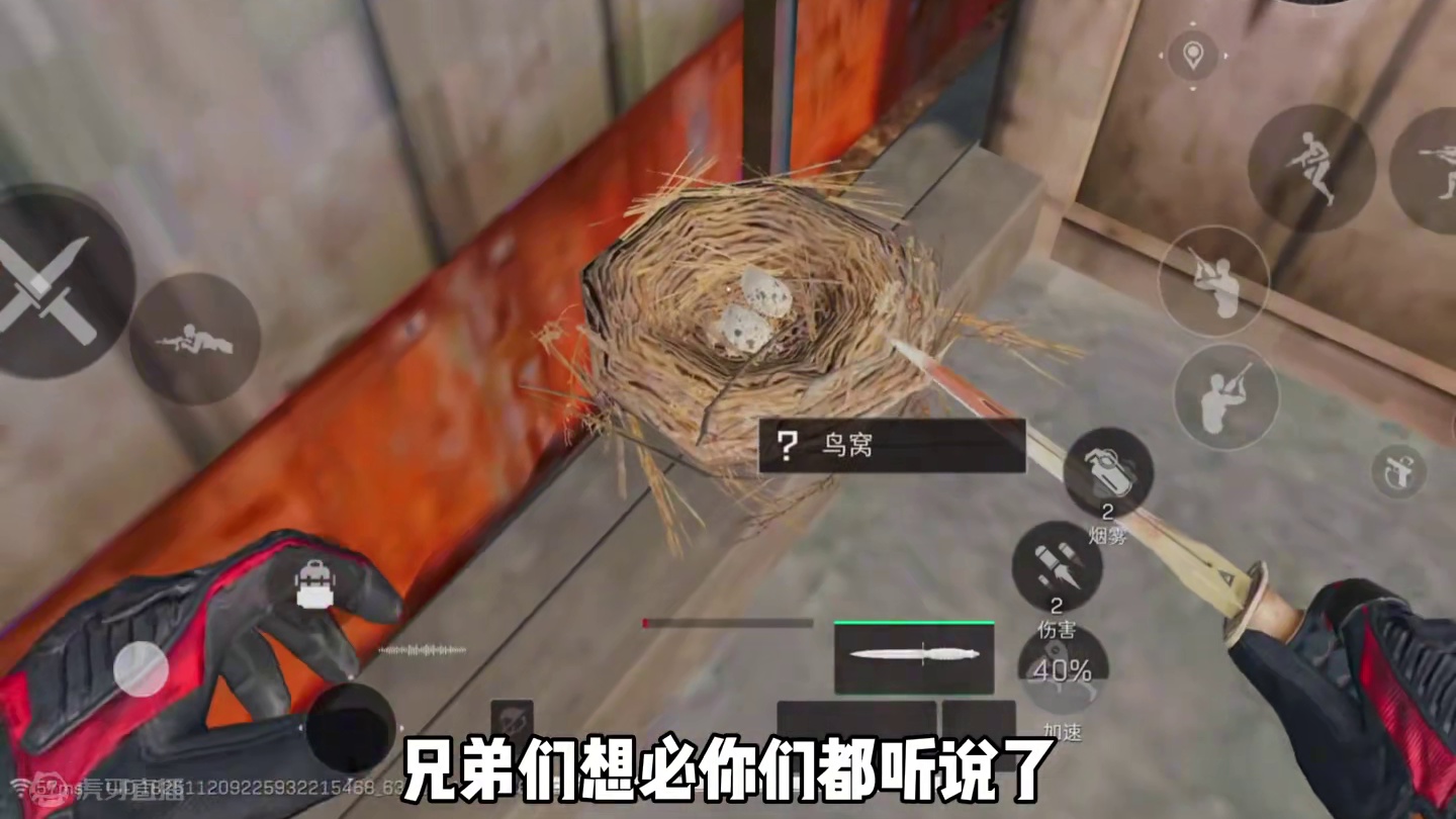 三角洲行动零号大坝鸟窝点位 看完就会！ 