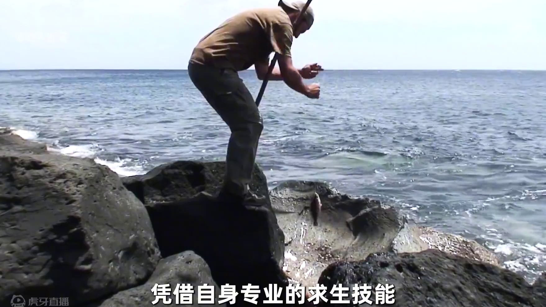 这是我看过比德爷还要勇猛的男人，独自一人在荒岛生存300天 #荒野求生 #野外生存 #户外