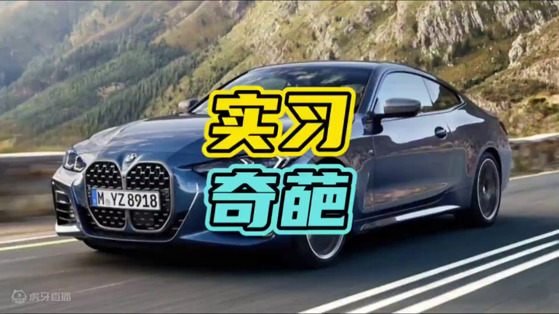 在路上一定要远离这种贴实习标的车！#实习标 #开车 #奇葩