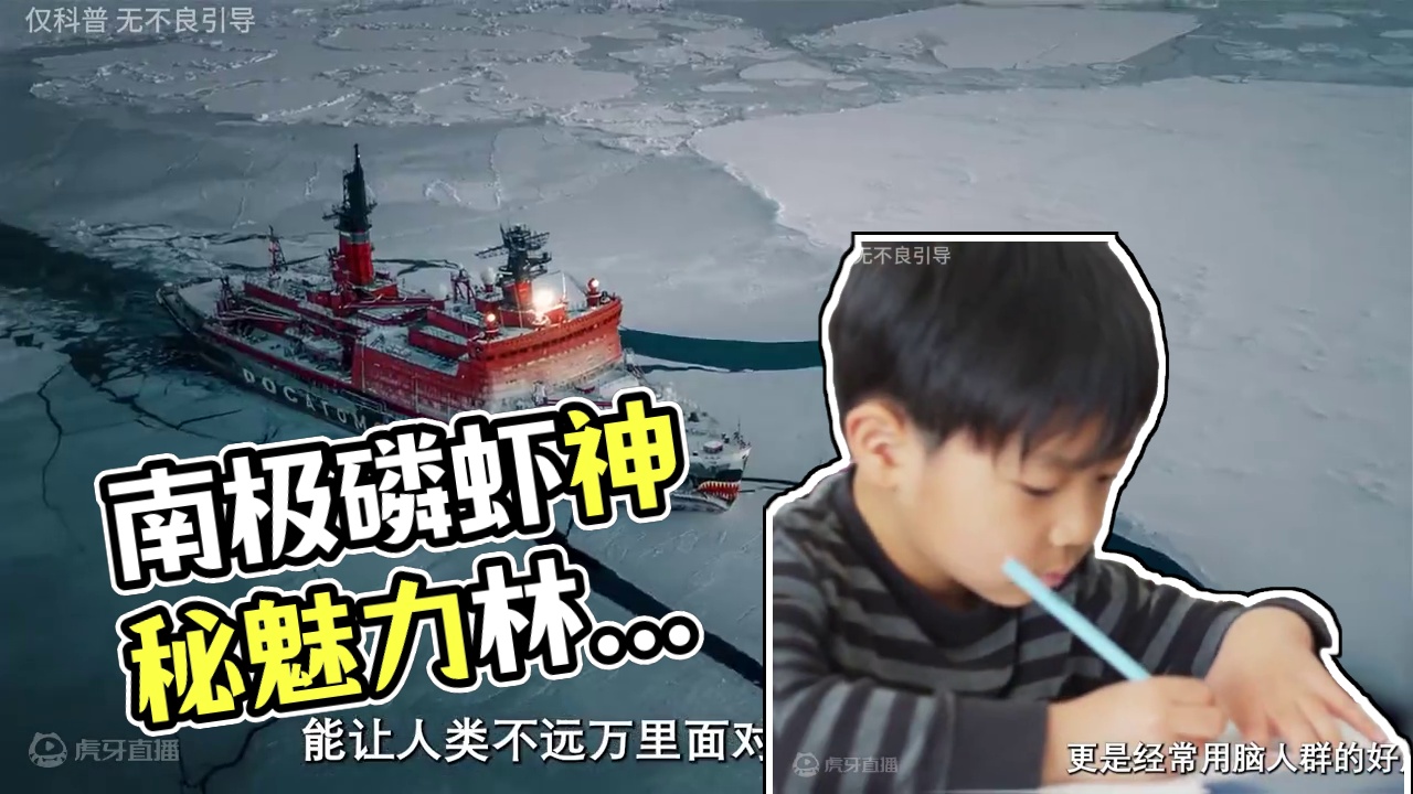 这个小东西没想到在南极还有这些故事#南极磷虾 #虾肉 #虾皮 #南极