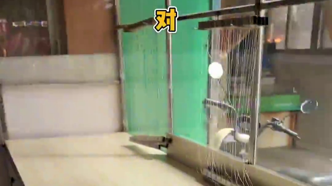 藏在龙湾老菜场里九层糕，满满红糖香！#温州演唱会 #温州奥体中心 #温州美食 #传统美食