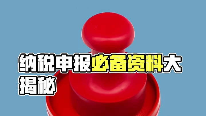 企业纳税申报要提交什么资料#