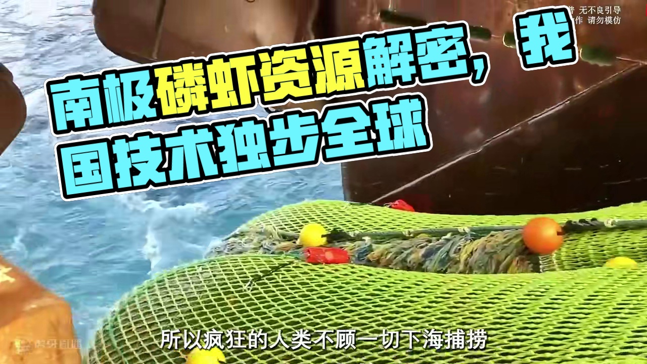 没想到各国都在争抢的磷虾资源，我们早已实现了磷虾自由#科普 #磷虾 #南极磷虾 #虾干 #虾皮