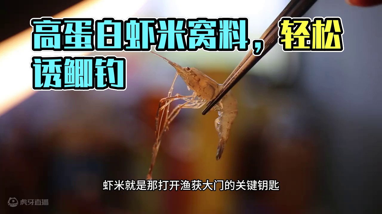 秋冬钓鱼新宠！高蛋白神秘酒米窝料，以少胜多大板鲫爆护 秋冬钓鱼新宠！高蛋白神秘酒米窝料，以少胜多大板