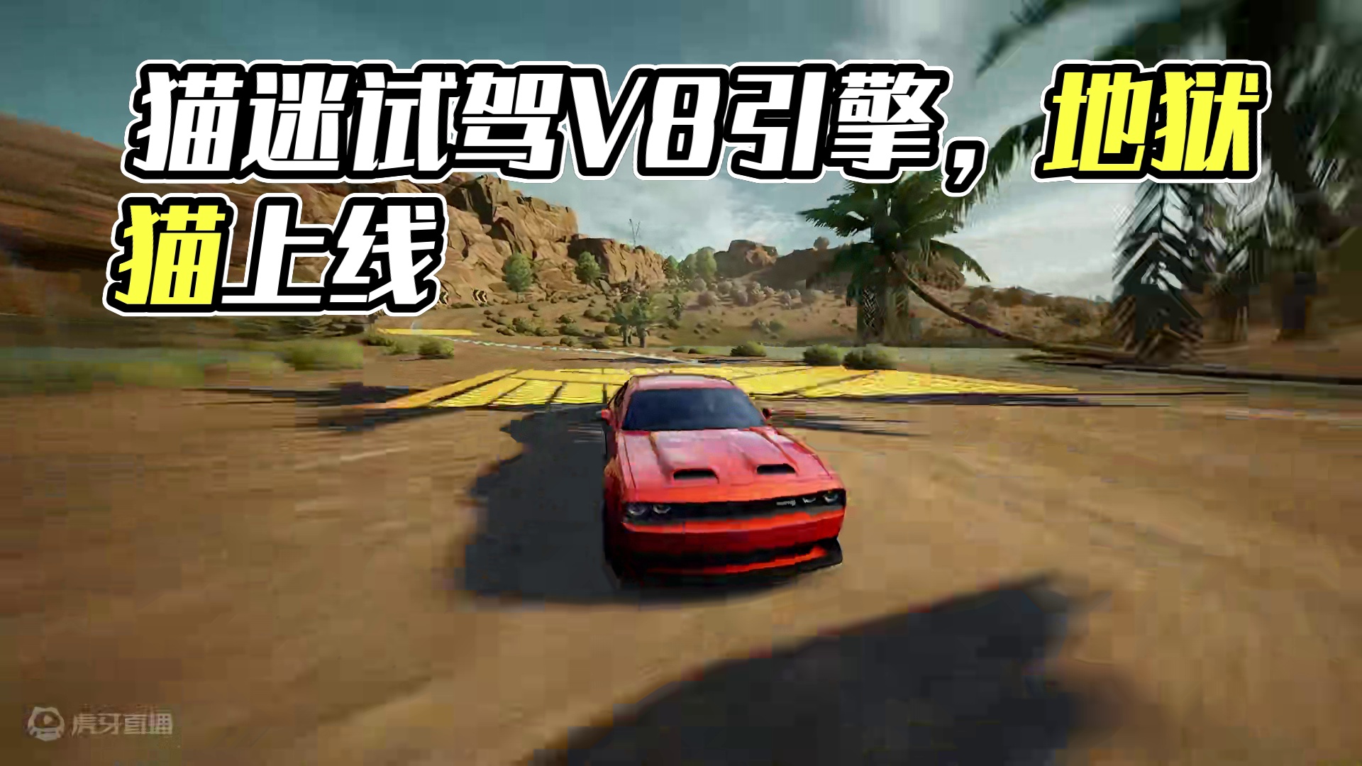 你知道的，我从小就喜欢猫 地狱猫上线在即，先跟薇拉一起沉浸式感受一下美式V8的魅力叭！
#极品飞车集