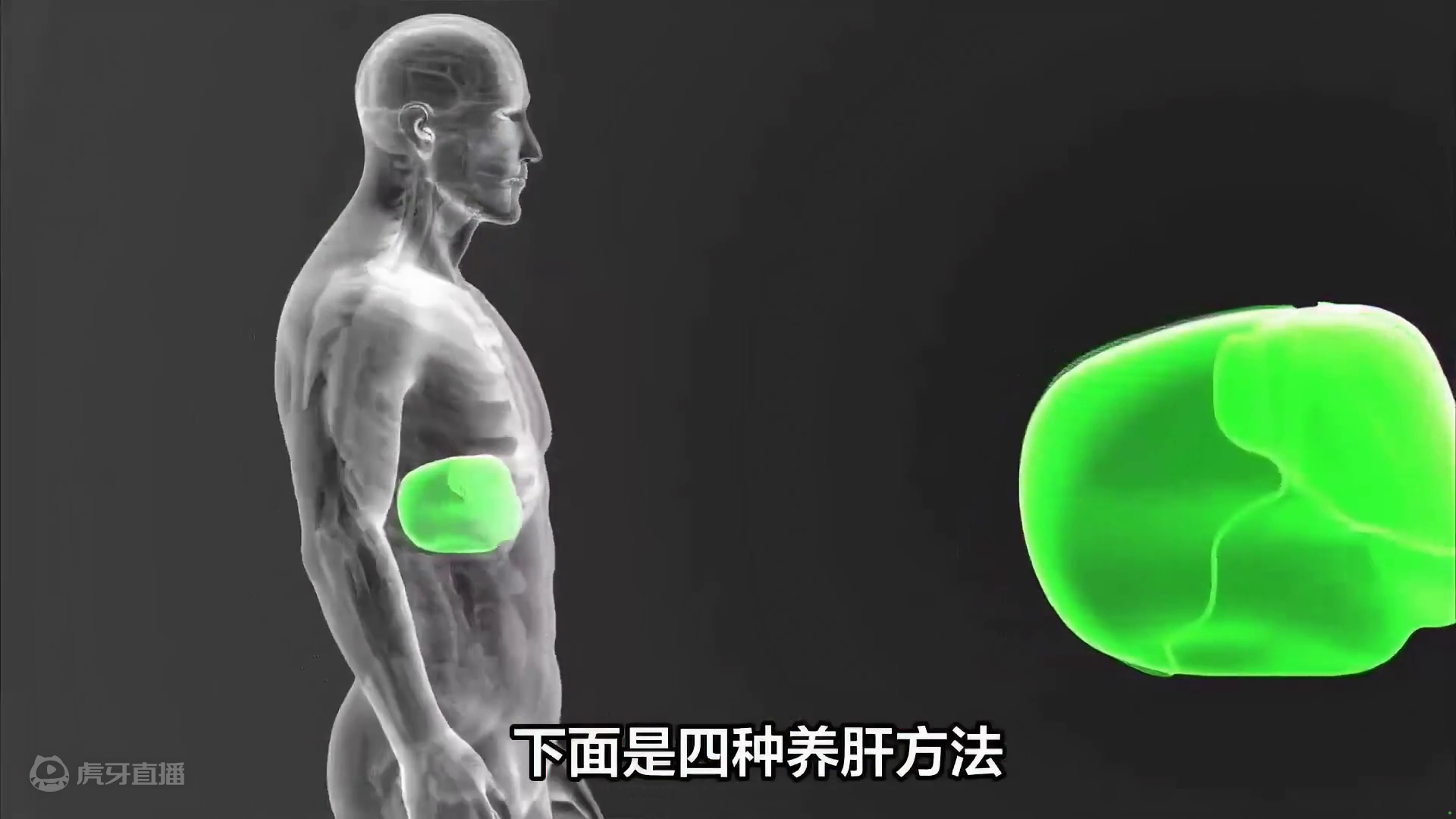 如何养好肝？四种方法教您如何做！