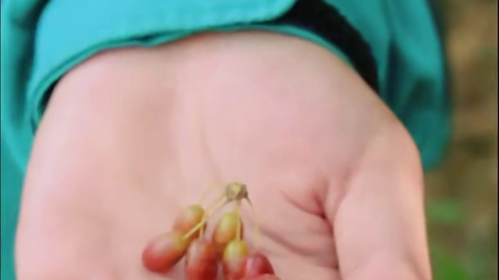 九九重阳 久久长长 #重阳节 九峰山全体员工祝全天下的父母、长辈平安喜乐。#养在九峰山 #秋天 #治